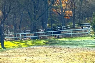 251 Reidy Hill Rd, Hebron, CT 06231 - Photo 35