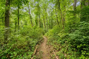 11 Lee Rd, Lisbon, CT 06351 - Photo 13