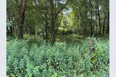 770 Pequot Trail, Stonington, CT 06378 - Photo 9