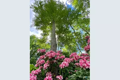 15 Two Pence Road, Ridgefield, CT 06877 - Photo 35