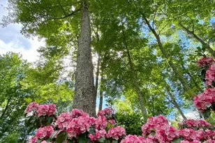 15 Twopence Rd, Ridgefield, CT 06877 - Photo 35