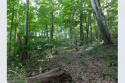 153 White Hollow Road, Salisbury, CT 06039 - Photo 7