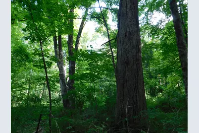 153 White Hollow Road, Salisbury, CT 06039 - Photo 5