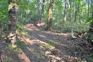 552 Stone Rd, Windsor, CT 06095 - Photo 35