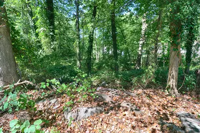 20 Ermine Street, Fairfield, CT 06824 - Photo 15