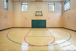 2 Dogwood Ct, Middlebury, CT 06762 - Photo 37