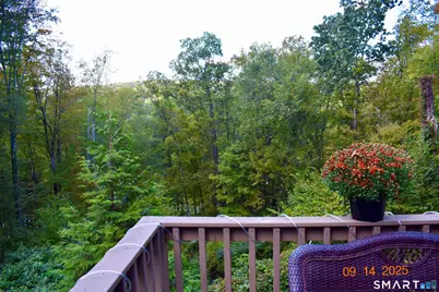 8 Tamarack Lane #8, Woodbury, CT 06798 - Photo 11