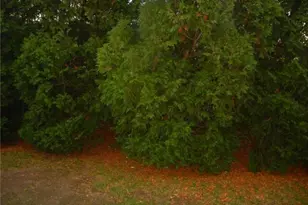 65 Old Rte 79, Madison, CT 06443 - Photo 21