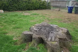 68 Edwin St, Bridgeport, CT 06607 - Photo 21