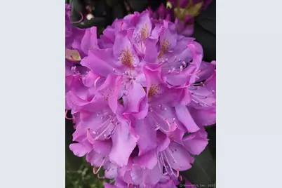 124 Holly Hill Drive, Montville, CT 06382 - Photo 25