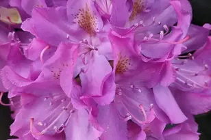 124 Holly Hill Dr, Montville, CT 06382 - Photo 25