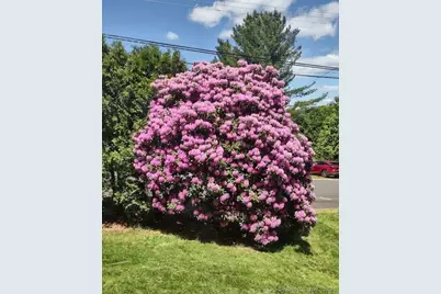 124 Holly Hill Drive, Montville, CT 06382 - Photo 9