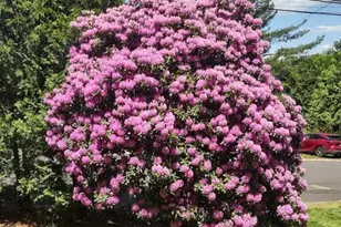 124 Holly Hill Dr, Montville, CT 06382 - Photo 9