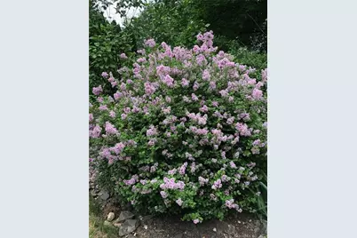 14 Quassuk Road #14, Woodbury, CT 06798 - Photo 19