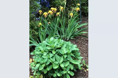 14 Quassuk Road #14, Woodbury, CT 06798 - Photo 23