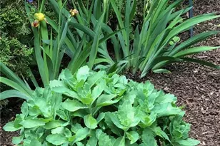 14 Quassuk Rd, Woodbury, CT 06798 - Photo 23