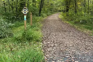 41 Oakwood Ln, Columbia, CT 06237 - Photo 39