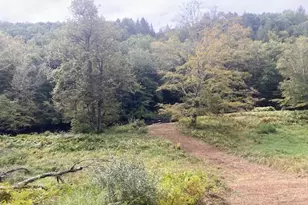 [Address not provided], Washington, CT 06794 - Photo 11