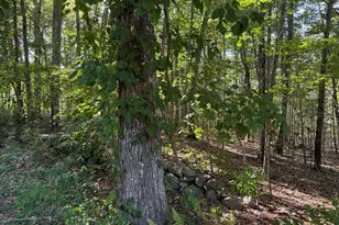 301 Montauk Ave, Stonington, CT 06378 - Photo 1