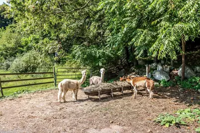 155 Squash Hollow Road, New Milford, CT 06776 - Photo 29