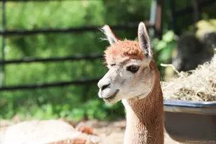 155 Squash Hollow Rd, New Milford, CT 06776 - Photo 31