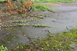 30 Ward St, Waterbury, CT 06704 - Photo 19