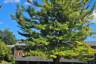 17 Old Farms Ln, New Milford, CT 06776 - Photo 15