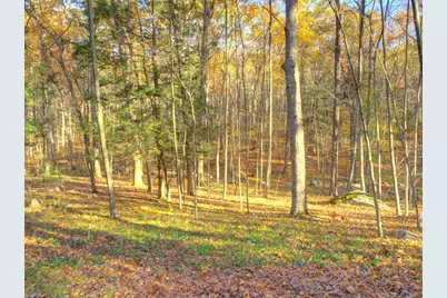 67 Mulberry Road, Mansfield, CT 06250 - Photo 29