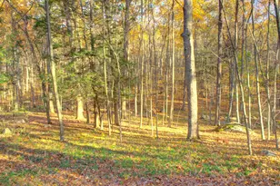 67 Mulberry Rd, Mansfield, CT 06250 - Photo 29