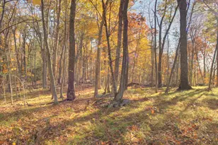 67 Mulberry Rd, Mansfield, CT 06250 - Photo 31