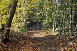 5 Kings Grant Rd, Clinton, CT 06413 - Photo 39