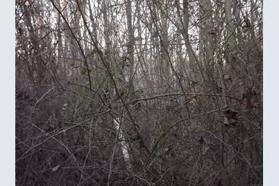 41 Bushy Hill Road, Essex, CT 06442 - Photo 29