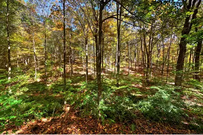 174 Weekeepeemee Road, Woodbury, CT 06798 - Photo 33