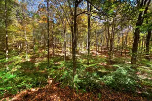 174 Weekeepeemee Rd, Woodbury, CT 06798 - Photo 33