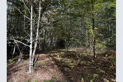 000000 Norfolk Road, Winchester, CT 06098 - Photo 7