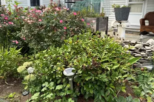 18 Little Point St, Essex, CT 06426 - Photo 25