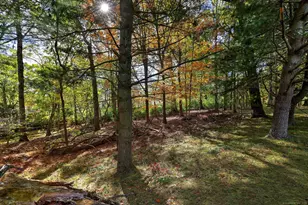 690 Forest Rd, West Haven, CT 06516 - Photo 9