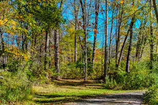 103 Geer Mountain Rd, Kent, CT 06785 - Photo 9