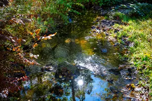 103 Geer Mountain Rd, Kent, CT 06785 - Photo 35