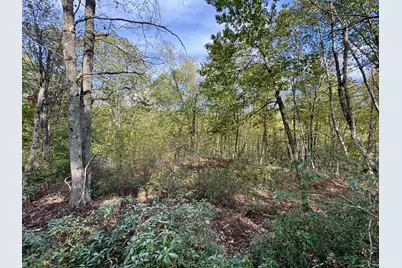 69 Moosehorn Road, Roxbury, CT 06783 - Photo 3