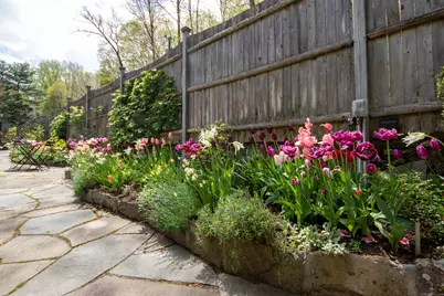 256 Mill Road, New Canaan, CT 06840 - Photo 3