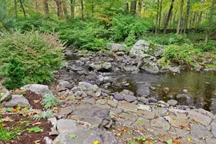 256 Mill Rd, New Canaan, CT 06840 - Photo 31