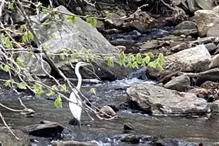 11 Phelps Rd, East Haddam, CT 06423 - Photo 23