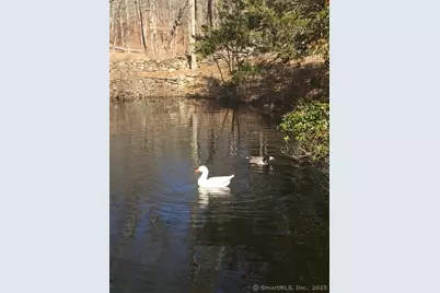 11 Phelps Road, East Haddam, CT 06423 - Photo 17