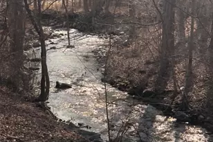 11 Phelps Rd, East Haddam, CT 06423 - Photo 19