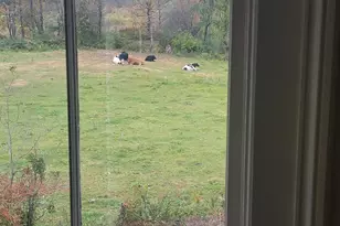 270 Cherry Brook Rd, Canton, CT 06019 - Photo 17