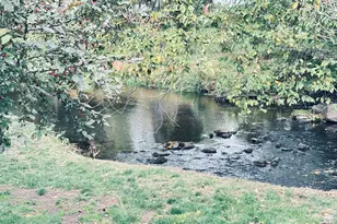 97 Richards Ave, Norwalk, CT 06854 - Photo 7