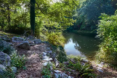 136 Lyons Plain Road, Weston, CT 06883 - Photo 19