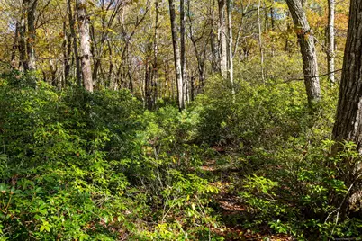 20 Edgerton Road, Granby, CT 06090 - Photo 5