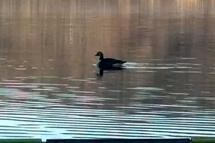 219 Twin Lakes Rd, North Branford, CT 06471 - Photo 31